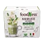 Matcha\u0020Latte\u0020al\u0020ginseng\u0020