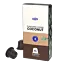 Cocco