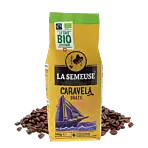 Caravela Brazil