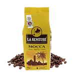 Mocca Surfin